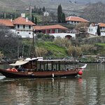 Photo taken by Harimohan V