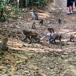 Photo taken by Bailey W