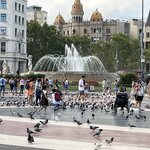 Photo taken by Randi B