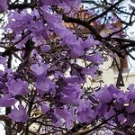 Photo taken by Mike T