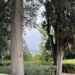 Photo taken by Michelle P