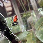 Photo taken by Brian L