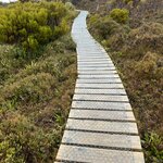 Photo taken by Amy Z