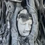 Photo taken by Shaula L