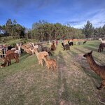 Photo taken by Emily F