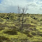 Photo taken by Tom B