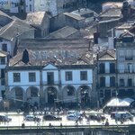 Photo taken by Wayne Z