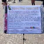 Photo taken by Erin J