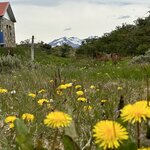 Photo taken by Yelena L