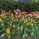 Photo taken by Karen M