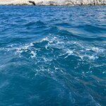 Photo taken by gail m