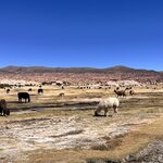 Photo taken by Shirley S