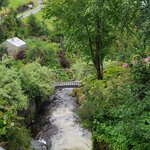 Photo taken by Tamara N