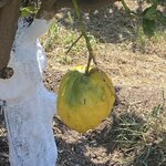 Photo taken by Geoff B