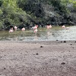 Photo taken by Gary W