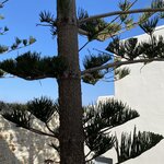 Photo taken by Cheryl L