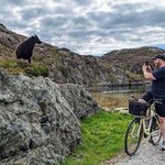 Photo taken by Emily C