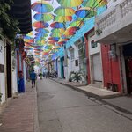 Photo taken by Bincy P