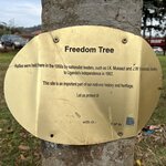 Photo taken by Michael L