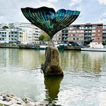 Photo taken by Sue S