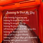 Photo taken by Glenda F