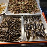 Photo taken by Lauryn G