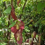 Photo taken by Lana P