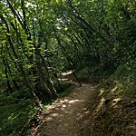 Photo taken by Kim R