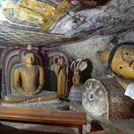 Photo taken by Dineia P