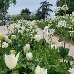 Photo taken by Audrey F