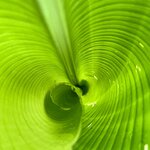 Photo taken by Julie G