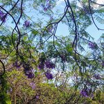 Photo taken by Brett F