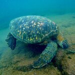 Photo taken by Katherine A