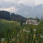 Photo taken by Shree L