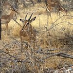 Photo taken by Nigel R