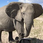 Photo taken by rhonda c