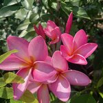 Photo taken by Aaron H