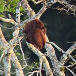 Photo taken by Penelope S