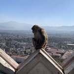 Photo taken by Erika S