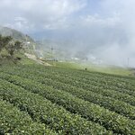 Photo taken by Beat M