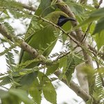 Photo taken by Graham D