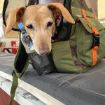 Photo taken by Krissy S