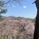 Photo taken by Kirti P