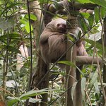 Photo taken by SANTHI S