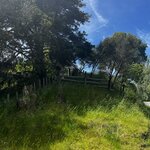 Photo taken by Judah J