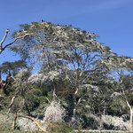 Photo taken by Virginia H