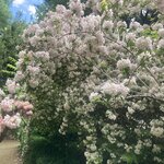 Photo taken by Gary G