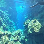 Silfra | Photo taken by Celisse B