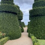 Photo taken by Melody B