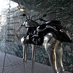What Norwegians did to a motorbike  | Photo taken by Lindsay M